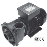 Waterway Executive Euro pomp 5.0HP 2 Speed