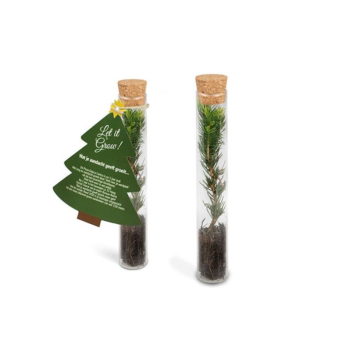 Wellness Pakketje #1 Gratis Kerstboom in glazen tube en Life Spa LED-wijnglazen - Afbeelding 5