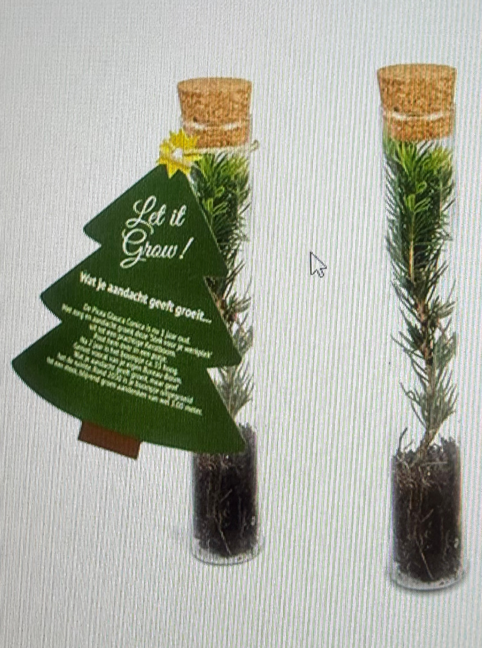 inSPAration - Cherry Bloesem 2 stuks # Gratis Kerstboom in glazen tube - Let it Grow! - Afbeelding 2